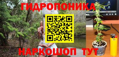 винт Татарск
