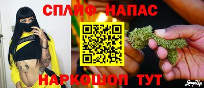 спиды Тара