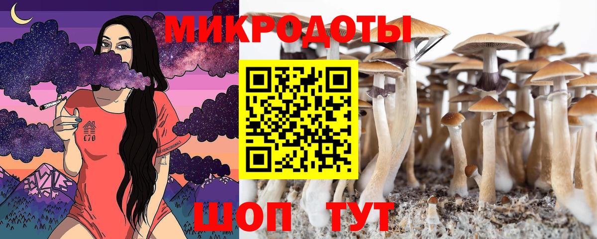 что такое наркотик  Галлюциногенные грибы Psilocybe  Вход с VPN  Муром 